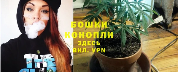 ешки Великий Новгород