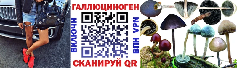 Галлюциногенные грибы Magic Shrooms  Купить закладки  Нолинск 